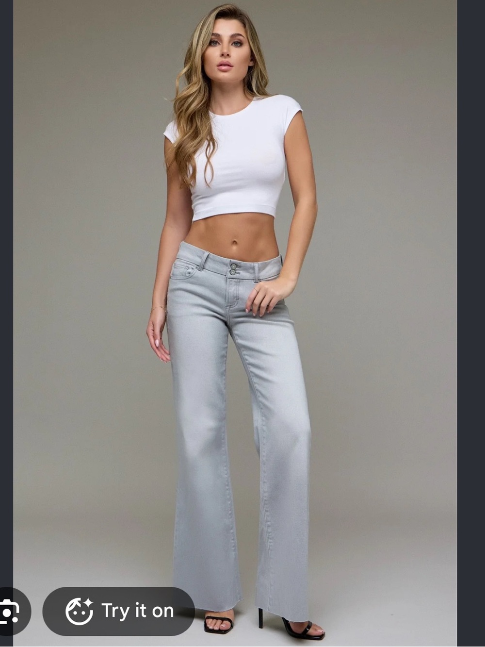 Hidden Sound Light Gray Low-Rise Wide Leg Jeans